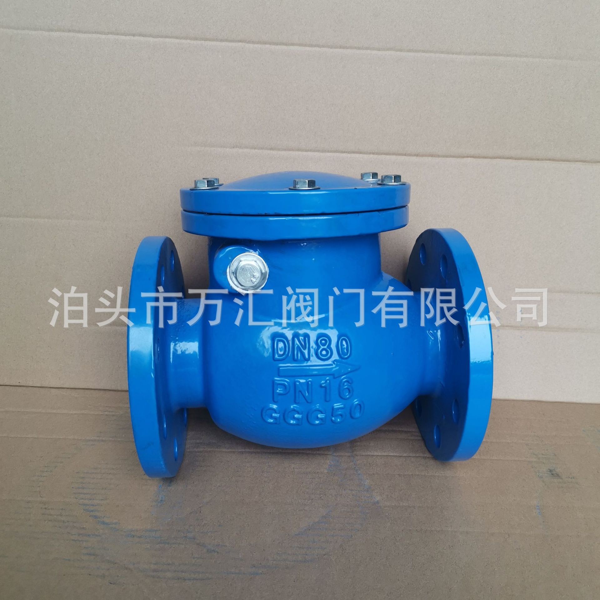 swing check valve (5).jpg