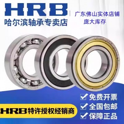 哈尔滨HRB轴承6200系列高转速铁盖2Z胶盖密封2RZ带卡簧深沟球轴承