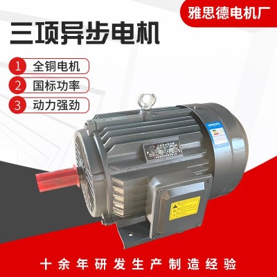 YE2-160L-4极15KW 三相异步电动机 全铜线 380V三相电机 厂家供应